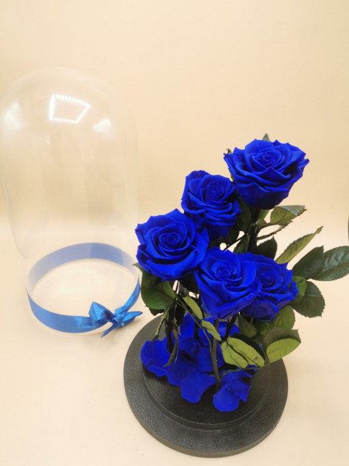 trandafiri-criogenati-albastri