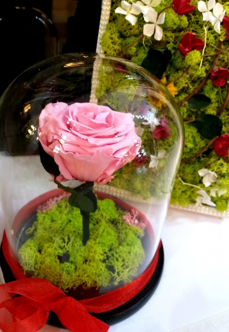 Cupola cu trandafir roz