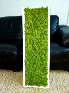 Tablou decorativ cu licheni naturali stabilizati