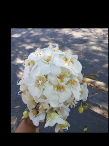 Buchet cu orhidee phalaenopsis alba