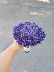 Buchet de cununie cu lavanda