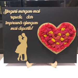 Tablou cu licheni-Singuri mergem mai repede, dar impreuna mai departe!