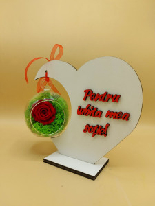 trandafir criogenat sotie