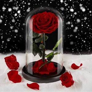 trandafir-criogenat-rosu-mare