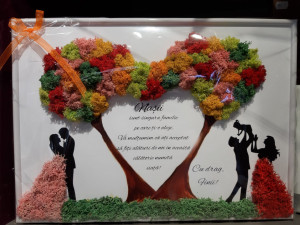 Tablou cu licheni Nasii, A3, Mesaj personalizat