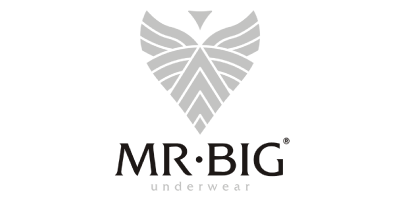 Mr. Big