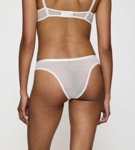 Chilot Brazilian, Triumph Delightful Spotlight Brazilian - Img 2