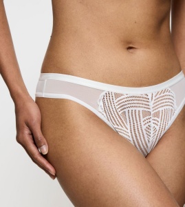 Chilot Brazilian, Triumph Delightful Spotlight Brazilian - Img 4