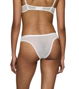 Chilot Brazilian, Triumph Delightful Spotlight Brazilian - Img 7