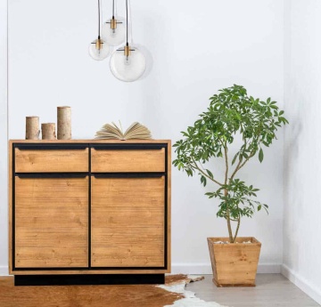 Comoda Mexicana lemn masiv, 2 usi si 2 sertare, 97 x 45 x 85 cm - Img 1