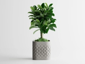 Ghiveci Flowform