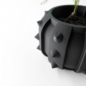Alver - Ghiveci pentru plante de interior în negru cu țepi și drenaj: imprimat 3D și design unic pentru casă și birou - Img 2