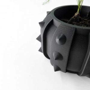Alver - Ghiveci pentru plante de interior în negru cu țepi și drenaj: imprimat 3D și design unic pentru casă și birou - Img 2