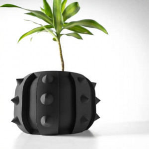 Alver - Ghiveci pentru plante de interior în negru cu țepi și drenaj: imprimat 3D și design unic pentru casă și birou - Img 5