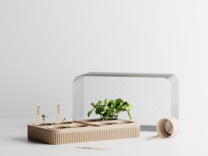 SproutNest - rasadnita - Img 2