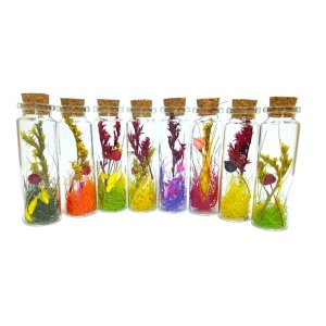 Fiole flori uscate 22x70 mm, set 10 buc - Img 2