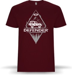 DEFENDER ...
