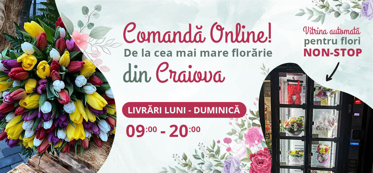 https://www.florariecustil.ro/catalog/buchete-flori-aranjamente-flori-craiova