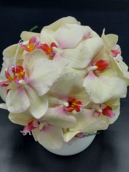 Buchet orhidee