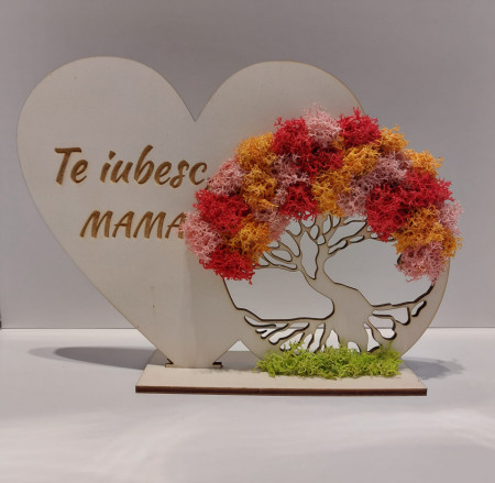 Inima cu licheni si mesaj - Img 3