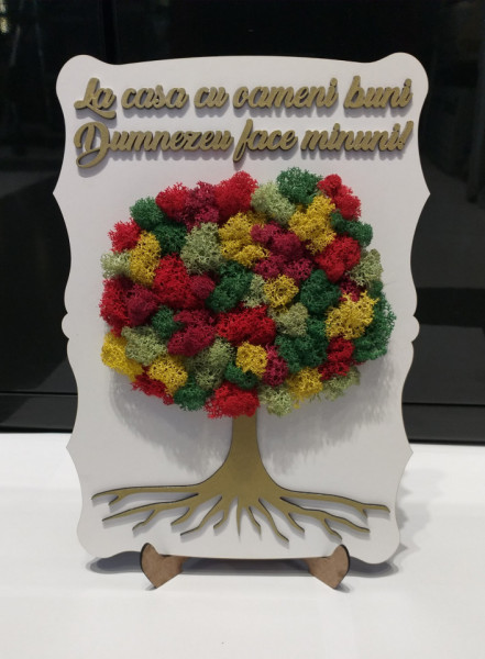 Tablou cu licheni - La casa cu oameni buni - Img 2
