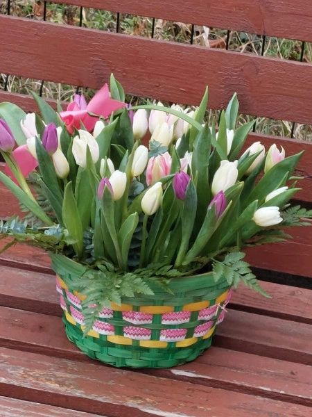 lalele in cos florarie craiova