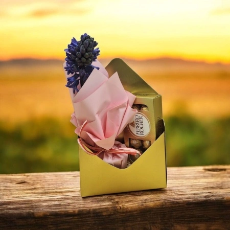 plic zambila ferrero rocher