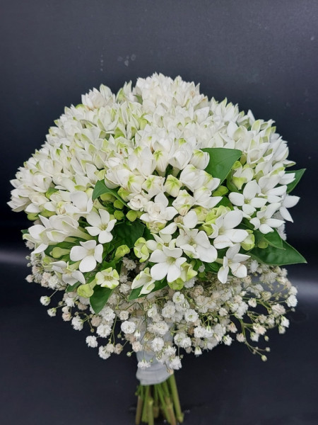 Buchet Bouvardia alb - Img 3