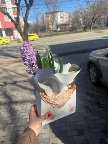 Pachet cadou Zambila si Ferrero Rocher - Img 2