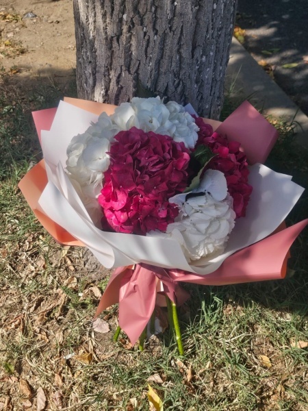 buchet hortensie