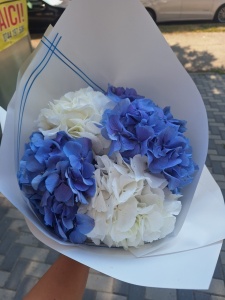 Buchet 5 hortensii