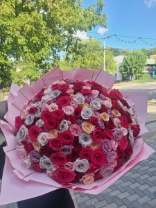 Buchet de Lux 201 Trandafiri Colorati