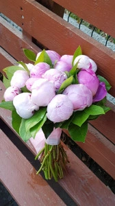 Buchet de mireasa cu bujori roz