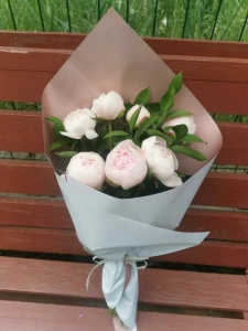 Buchet 7 bujori