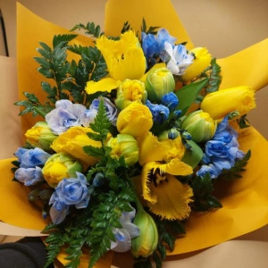 Buchet îndrăzneț cu lalele galbene si frezii albastre