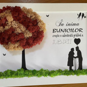 Tablou cu licheni - BUNICI