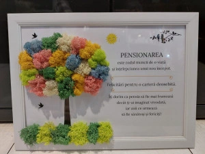 Tablouri cu licheni - Mesaj standard pentru pensionare