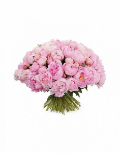 Buchet 101 bujori