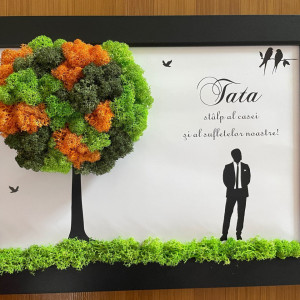 Tablou cu licheni - TATA