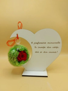 Inima cu trandafir criogenat- Profesoara