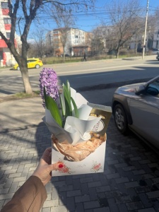 Pachet cadou Zambila si Ferrero Rocher