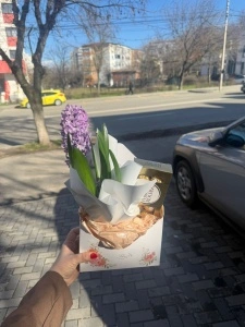 Pachet cadou Zambila si Ferrero Rocher