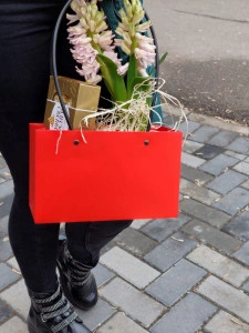 Pachet cadou Martisor