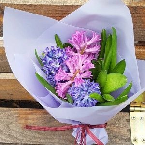 Buchet 5 zambile colorate