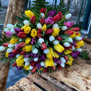 Buchet cu 101 lalele multicolore