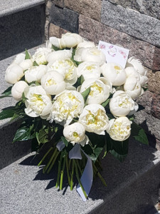 Buchet 29 Bujori romantici