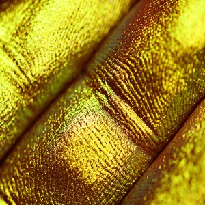 Pigment PK81(maroniu-bronze-verde olive) Duochrome pentru machiaj KAJOL Beauty, 1g - Img 2