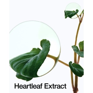 Toner de fata calmant Anua Heartleaf 77% Soothing Toner, 250ml - Img 6