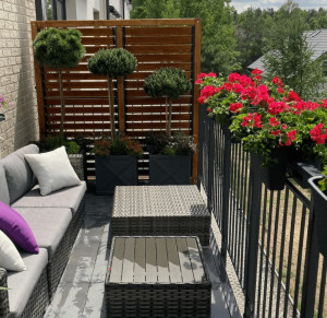 Jaluzele balcon