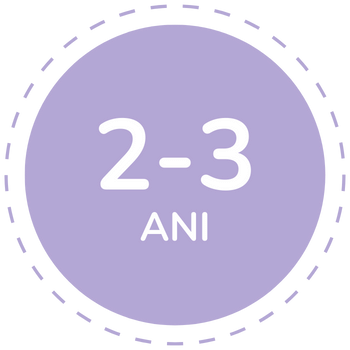 Jucarii copii 2-3 ani